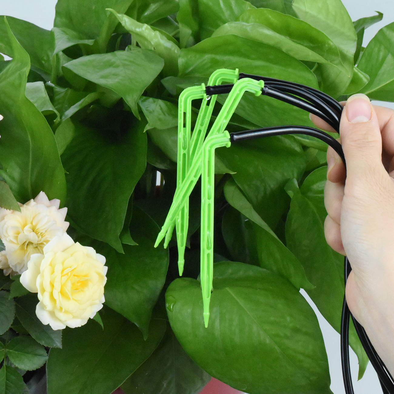 KESLA Garden 4/7mm to 3/5mm Ho - Smart Garden Technology ulasan dan harga