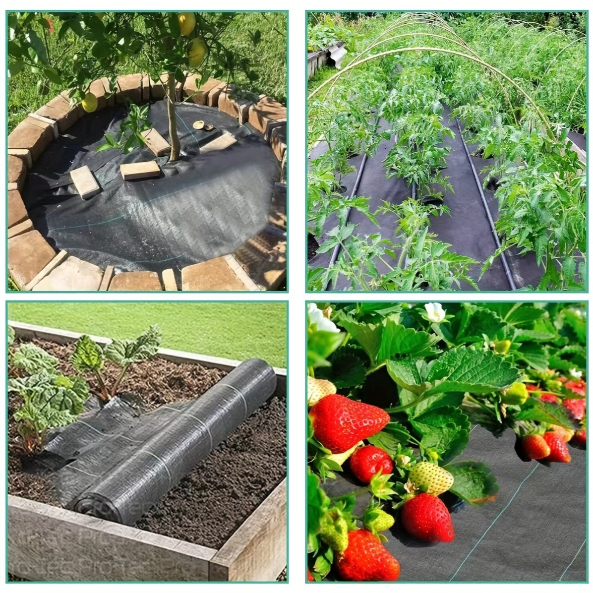 Used for Weed Control, Anti-Gr - Smart Garden Greenhouse ulasan dan harga