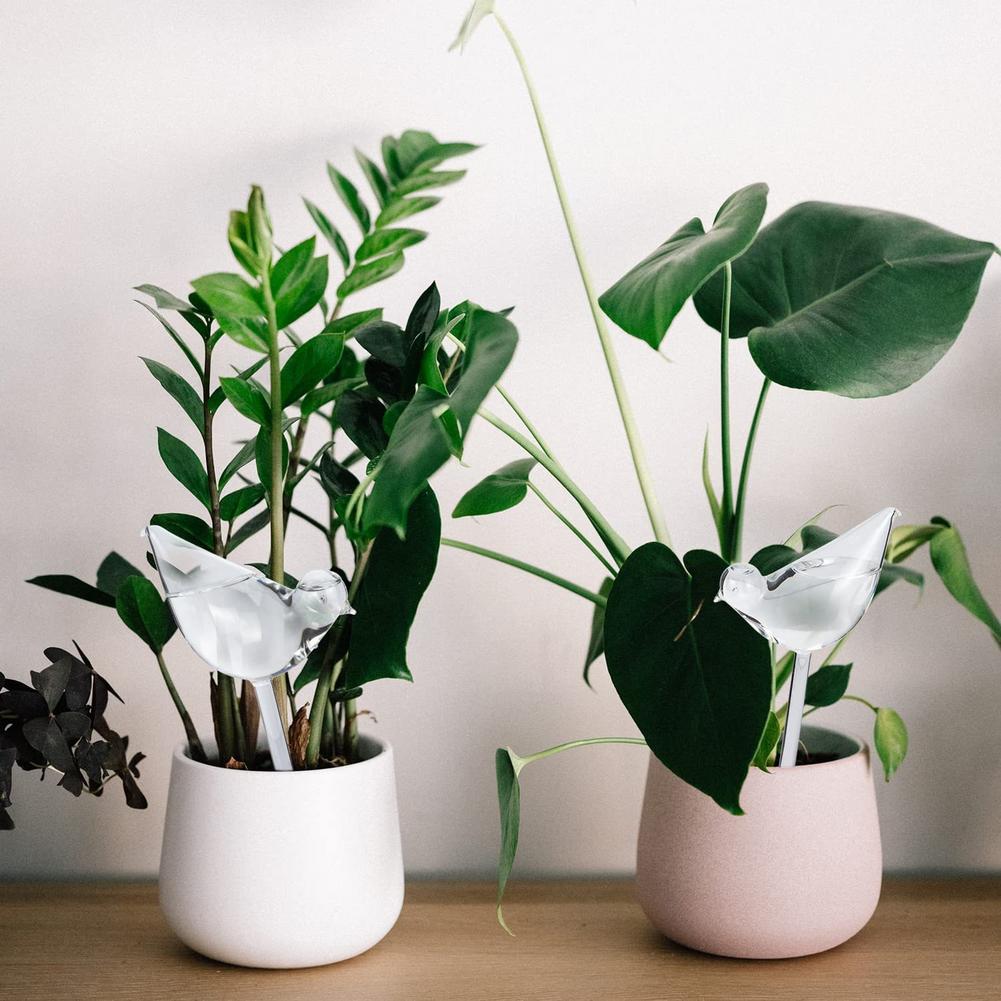 Automatic Plant Watering Bulbs - Smart Garden Technology ulasan dan harga