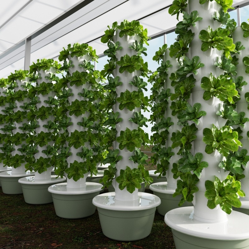 2024 Smart Low Cost Greenhouse - Smart Garden Greenhouse ulasan dan harga