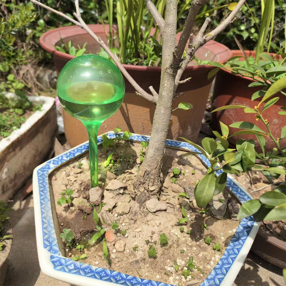 Automatic Plant Watering Bulbs - Smart Garden Technology ulasan dan harga