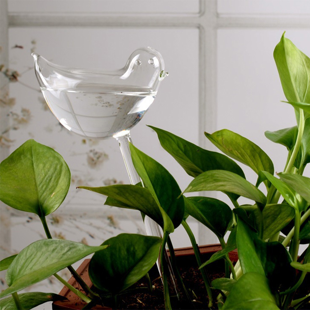 Automatic Plant Watering Bulbs - Smart Garden Technology ulasan dan harga