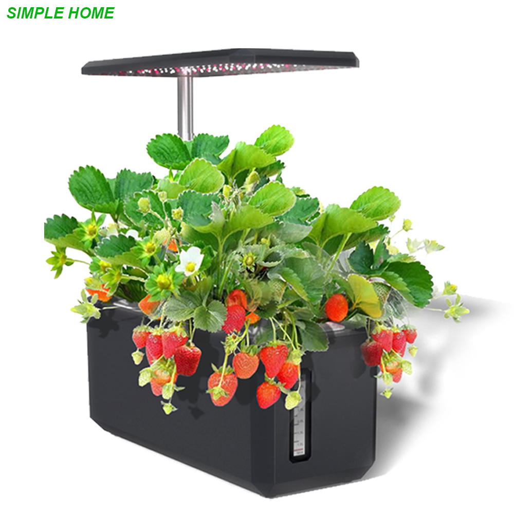 Hydroponics Growing System Wit - Smart Garden Led Lights ulasan dan harga