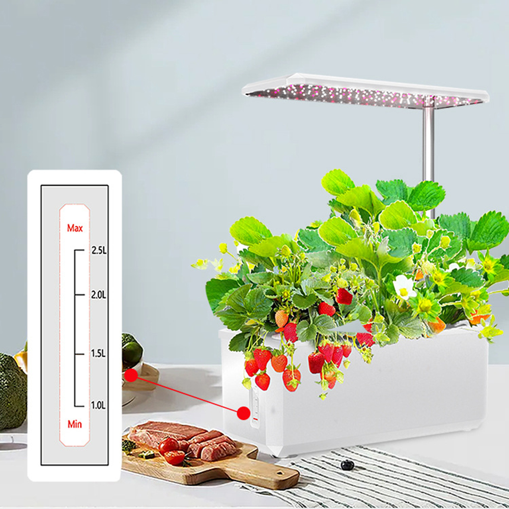 Hydroponics Growing System Wit - Smart Garden Led Lights ulasan dan harga