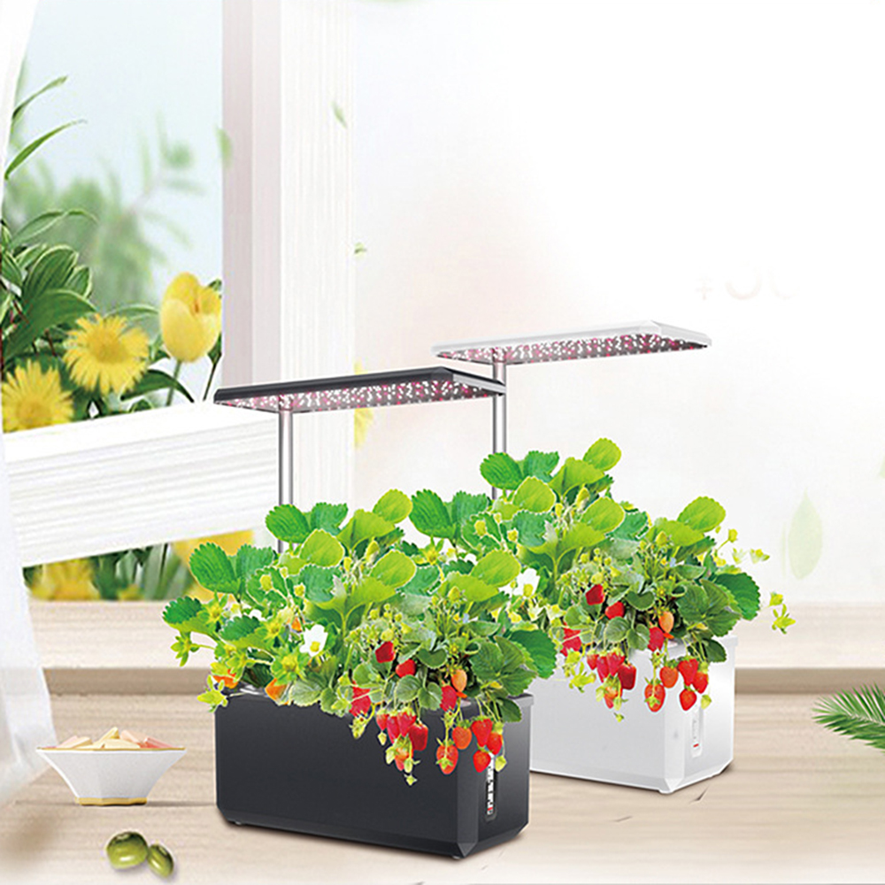 Hydroponics Growing System Wit - Smart Garden Led Lights ulasan dan harga