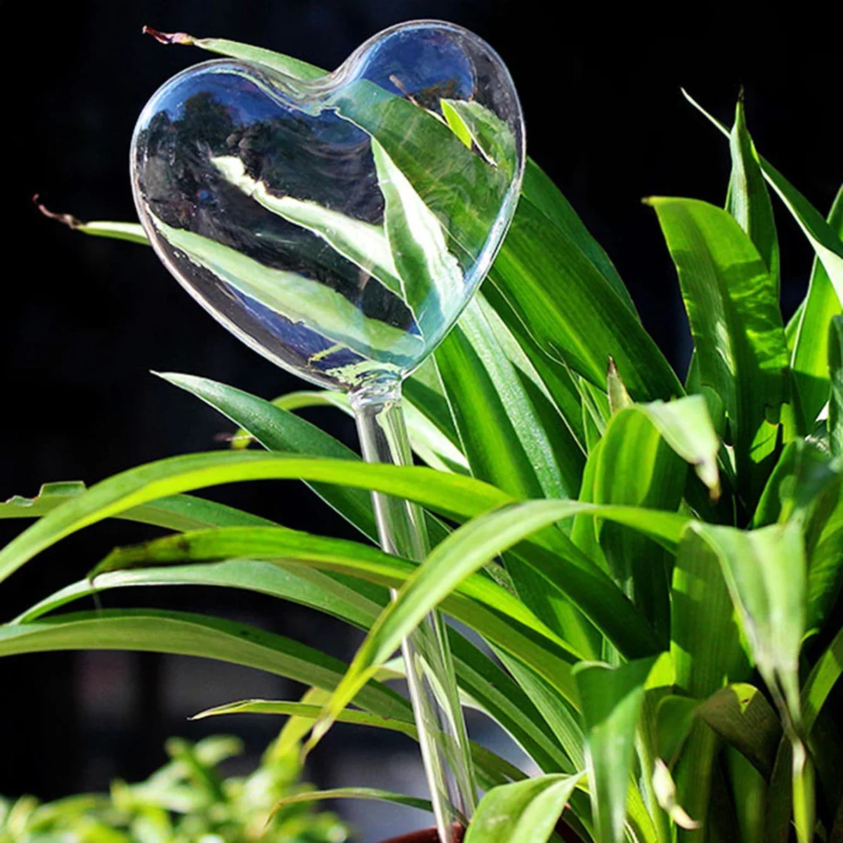 1pc Automatic Plant Watering B - Smart Garden Technology ulasan dan harga