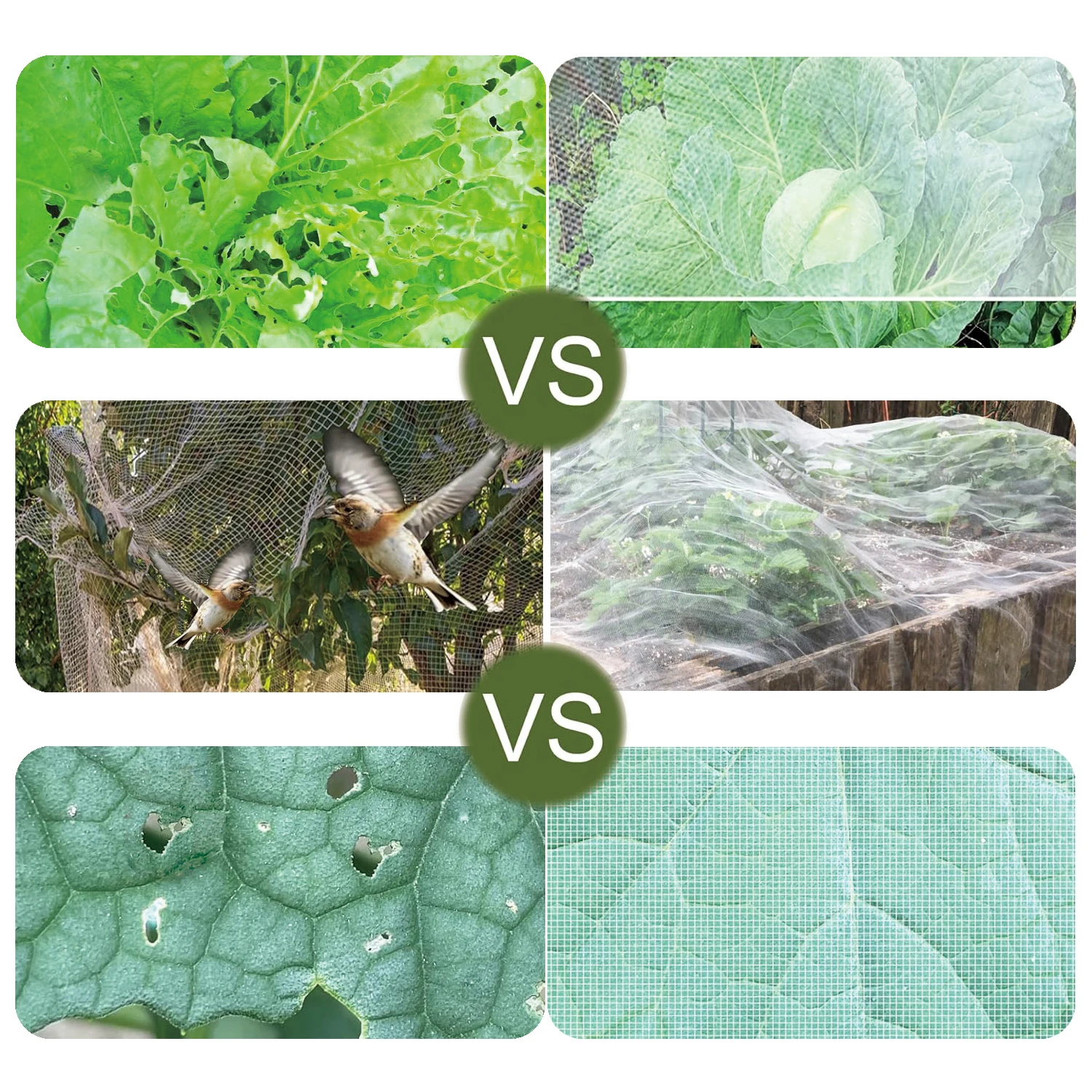 Insect Protection Net Garden P - Smart Garden Greenhouse ulasan dan harga