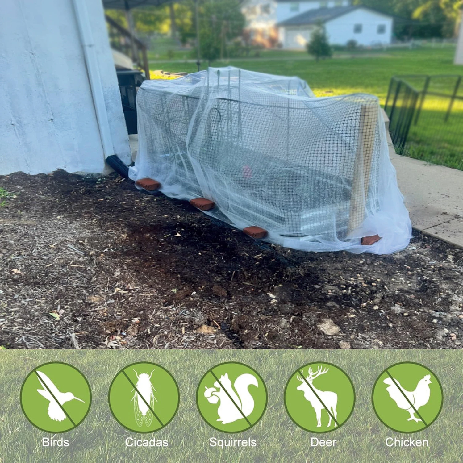 Insect Protection Net Garden P - Smart Garden Greenhouse ulasan dan harga